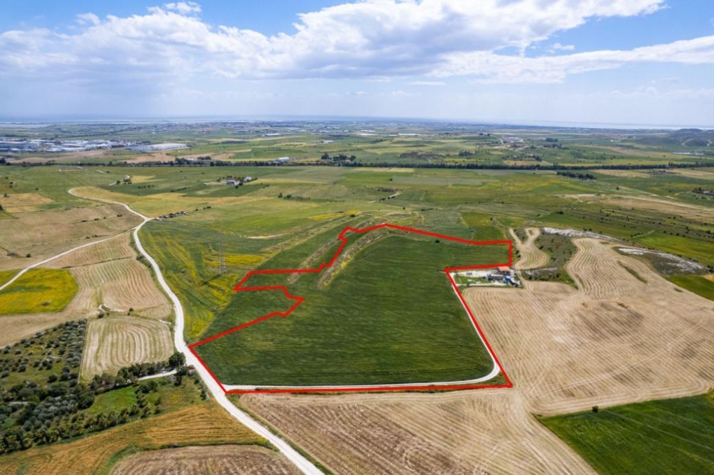 Agricultural field in Kalo Chorio, Larnaca – id R8216