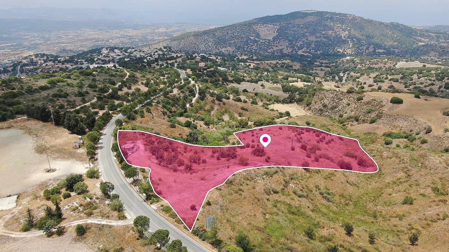 Field in Meladeia, Paphos – id S40155