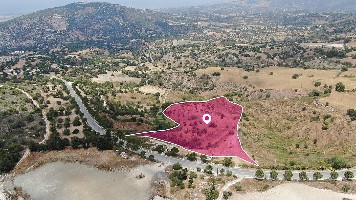 Field in Meladeia, Paphos – id S40155