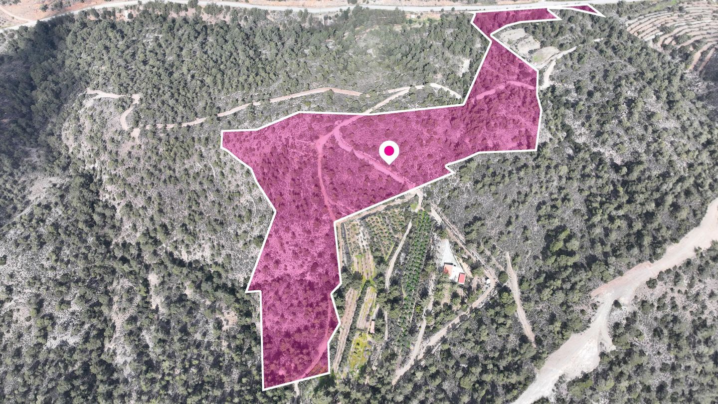 Agricultural Field, Louvaras, Limassol – id S41041