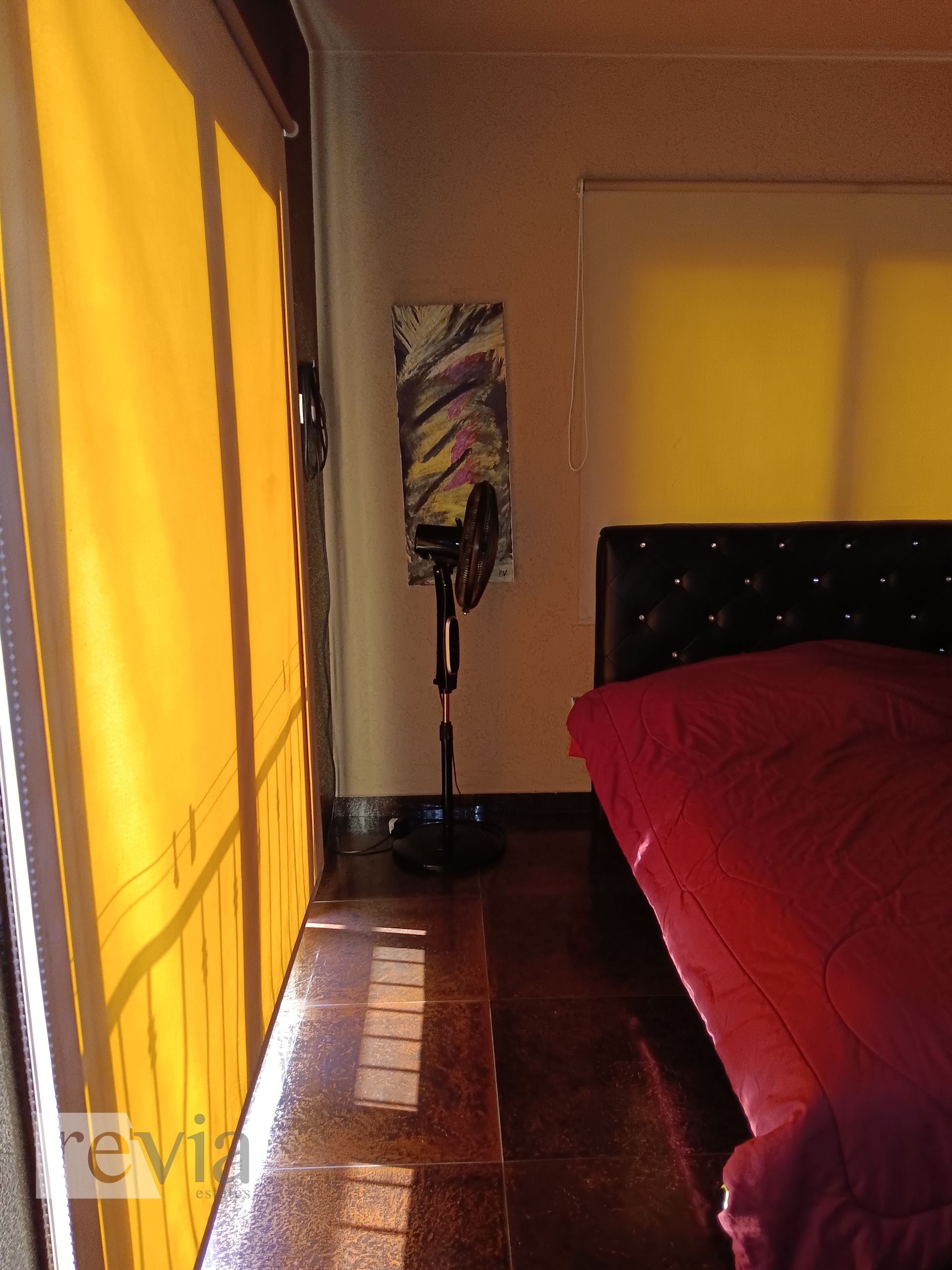 b3d6377457e8489ea8fd3b4e3207ed83