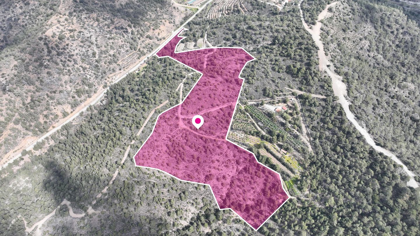 Agricultural Field, Louvaras, Limassol – id S41041