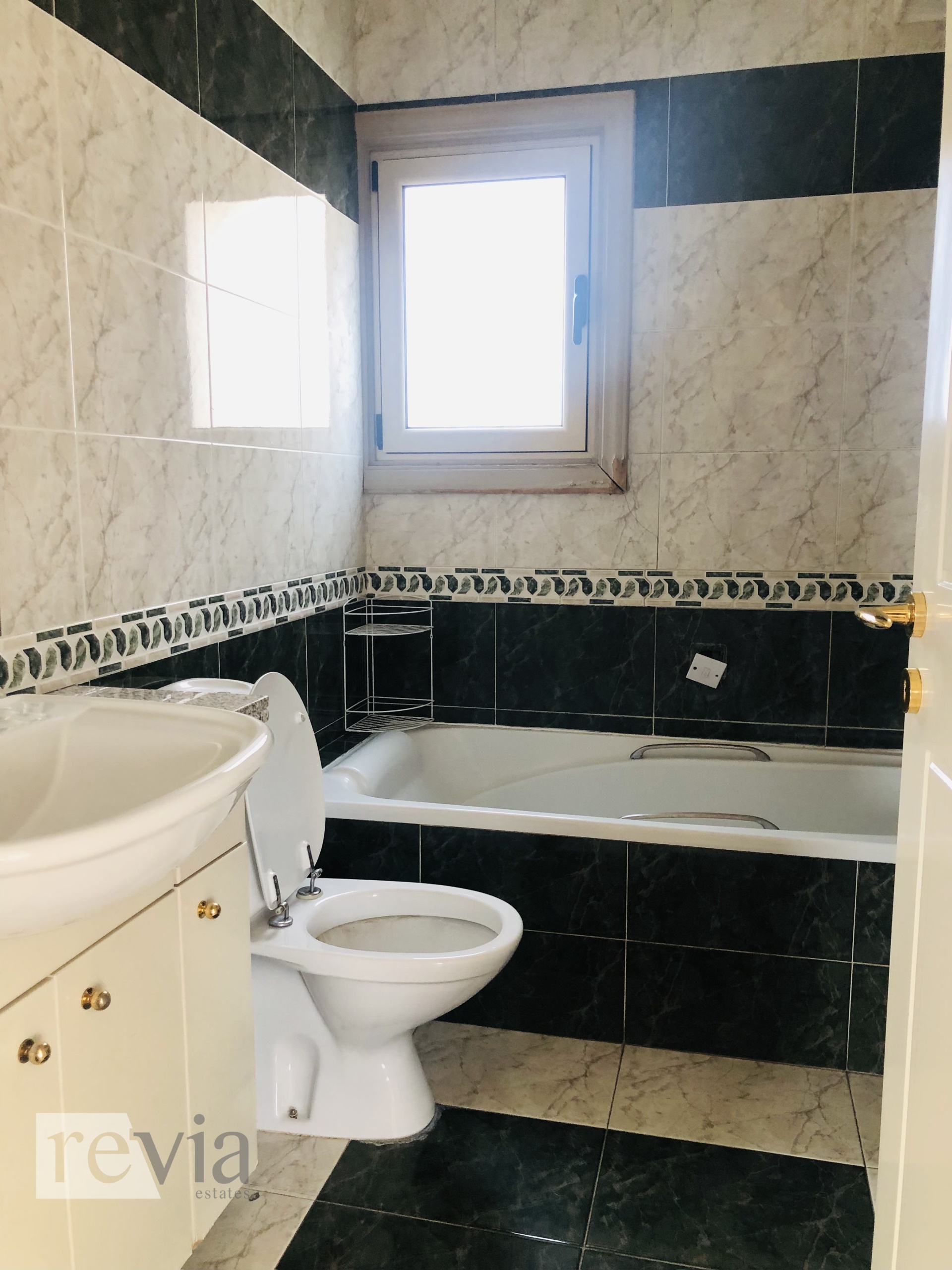 img_62d8def4-53f2-46d8-b4a5-e8309a7f7c2e