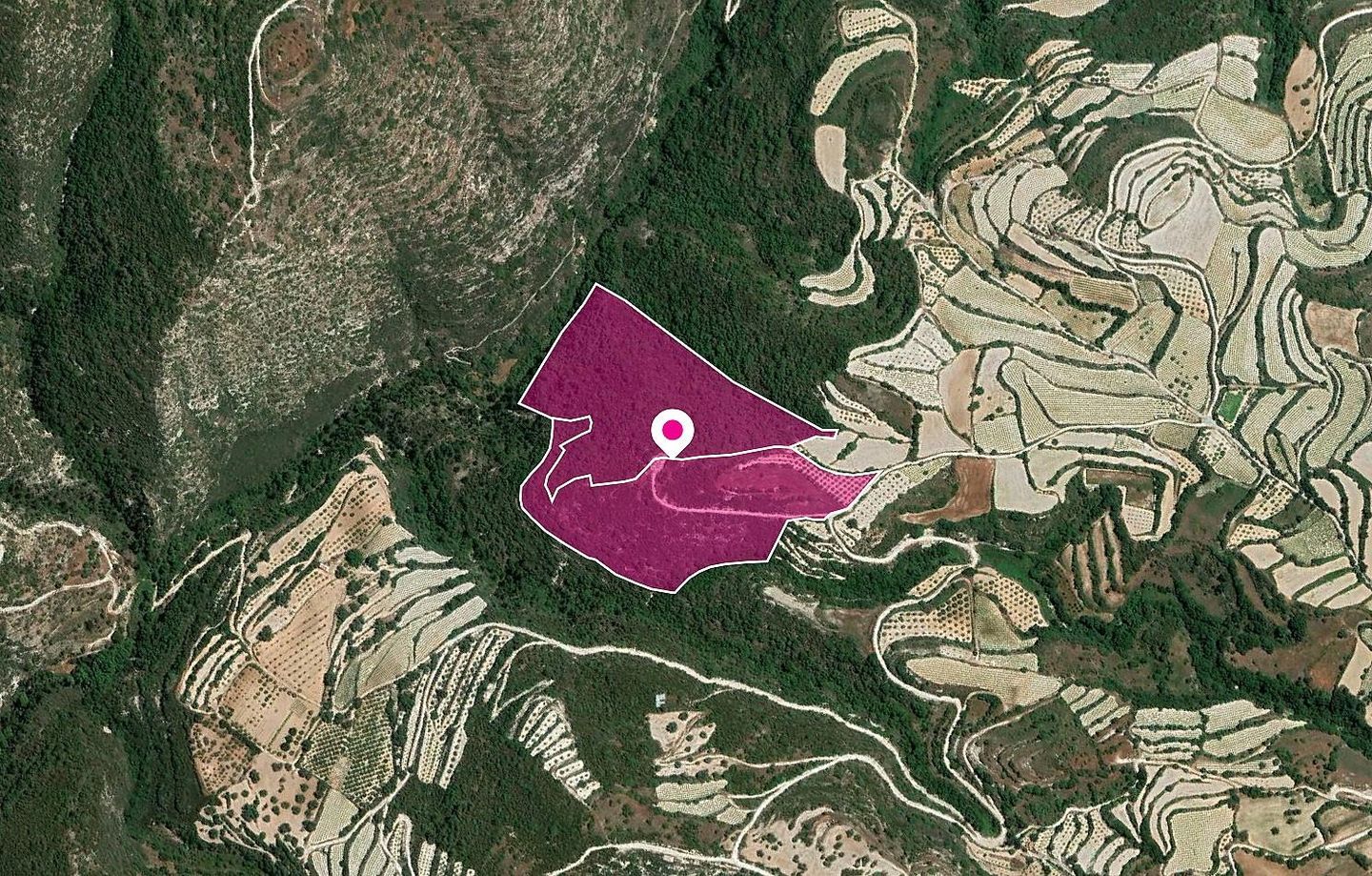 (Share) Agricultural Fields, Koili, Paphos – id S34128