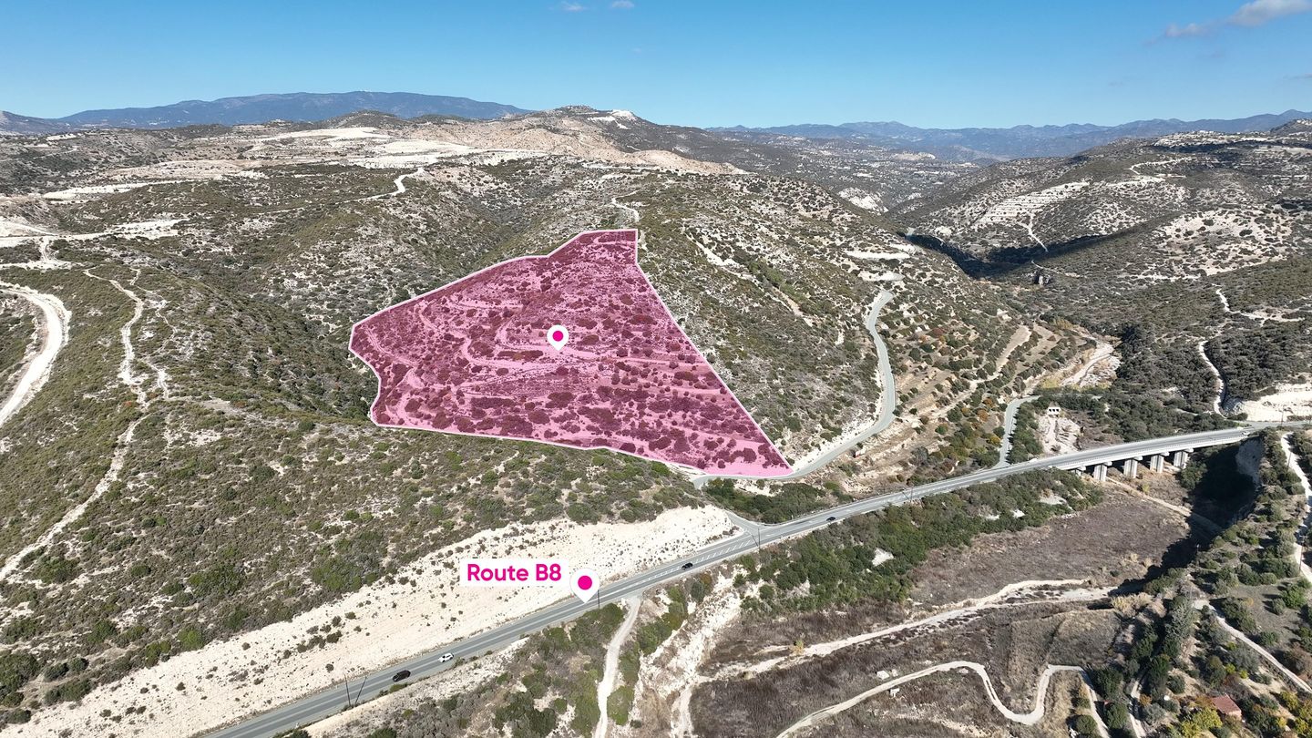 Special Protection Large – Field in Alassa, Limassol – id S5381