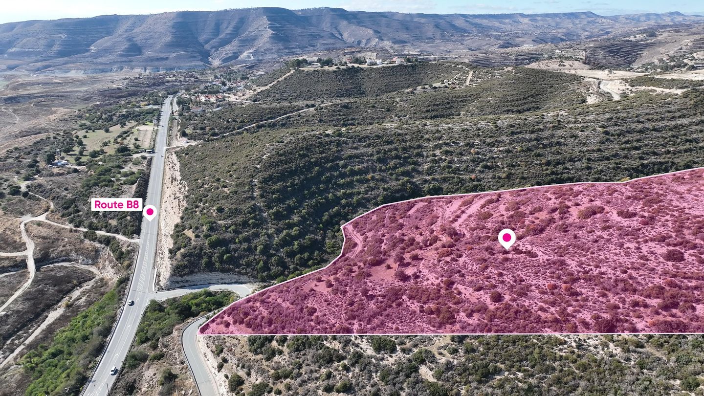 Special Protection Large – Field in Alassa, Limassol – id S5381