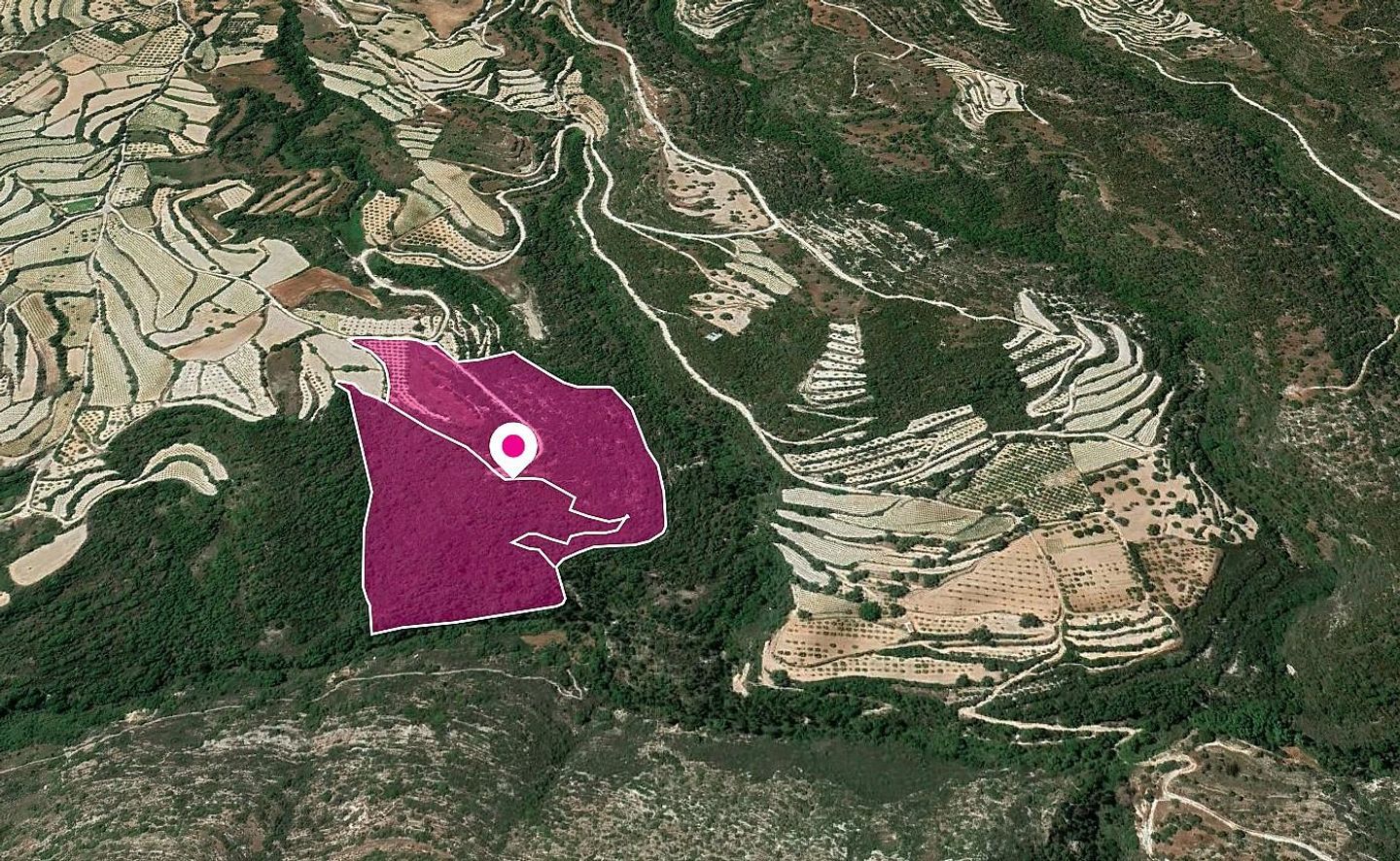 (Share) Agricultural Fields, Koili, Paphos – id S34128