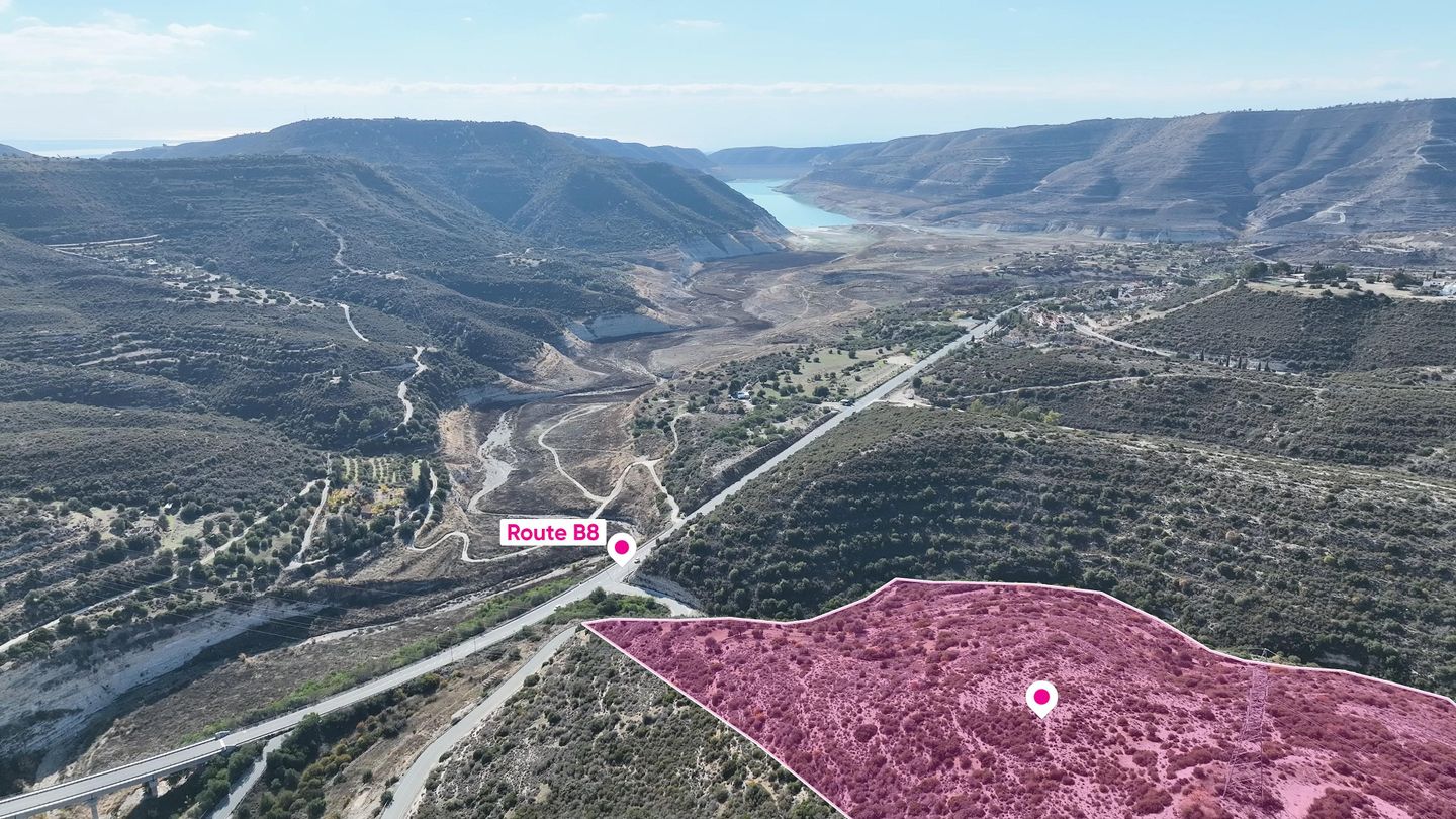 Special Protection Large – Field in Alassa, Limassol – id S5381