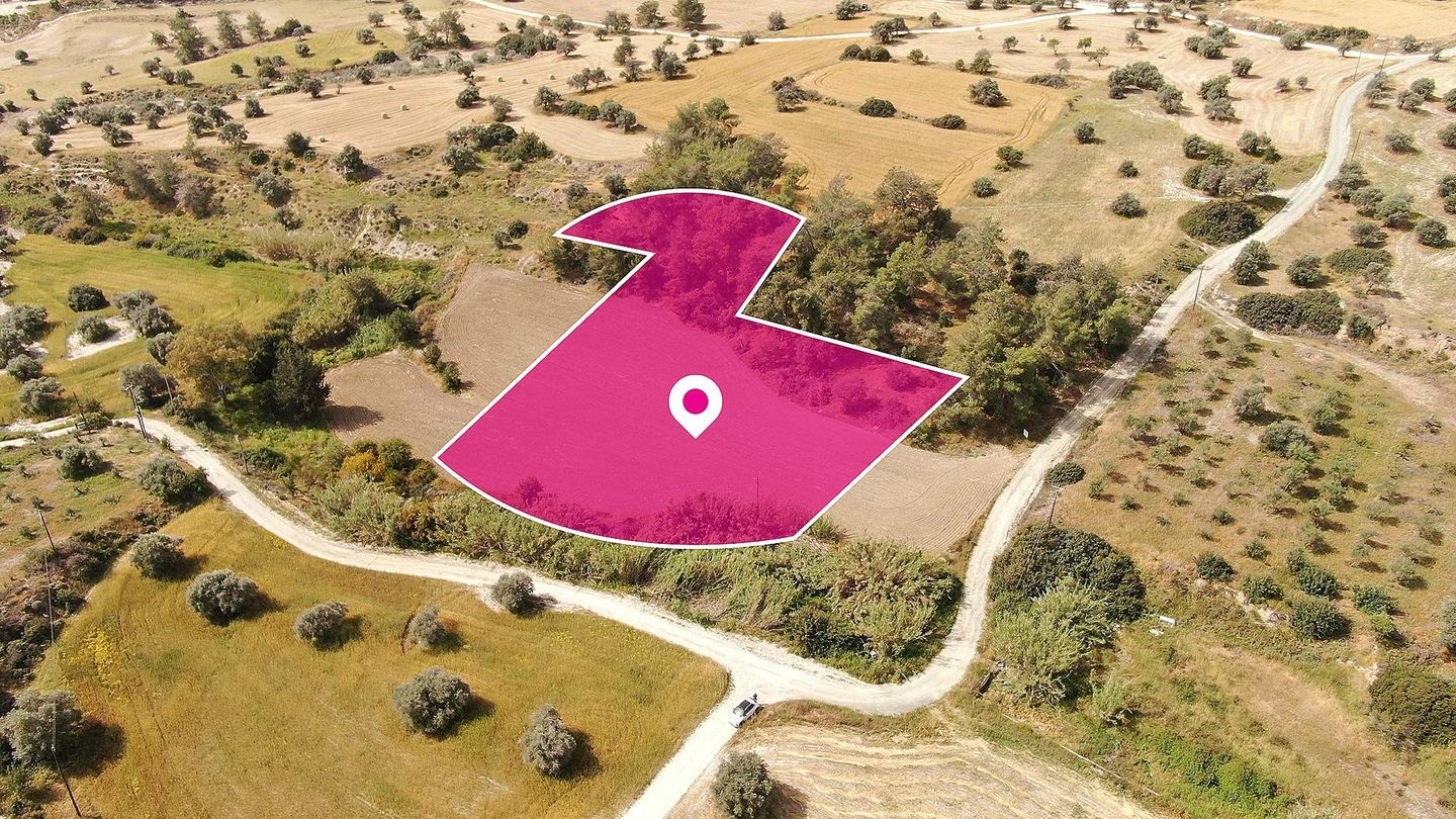 Field in Anglisides, Larnaca – id S20093