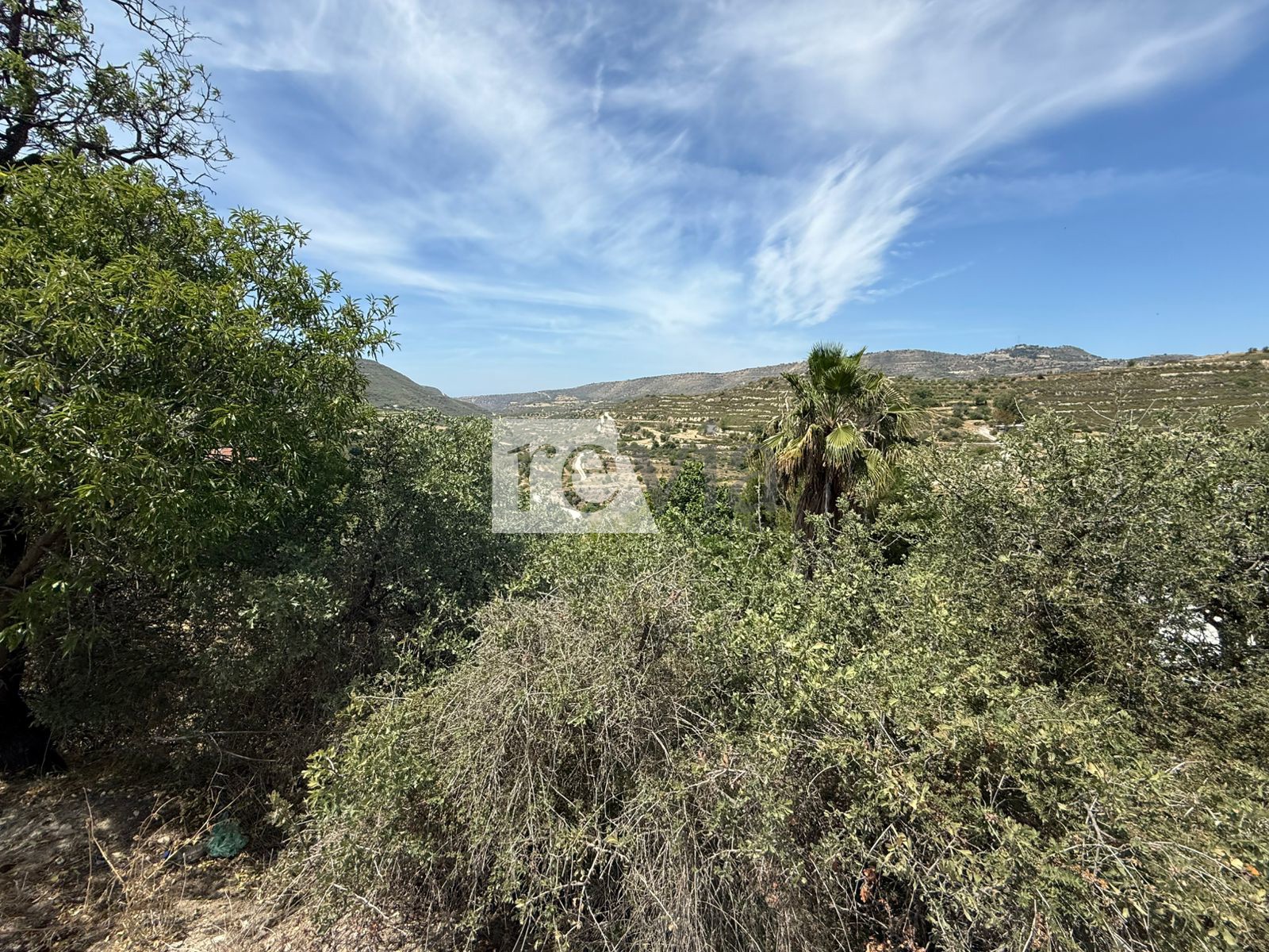1586876 – Land Field For sale, Agios Amvrosios, 976 sq.m., €60.000