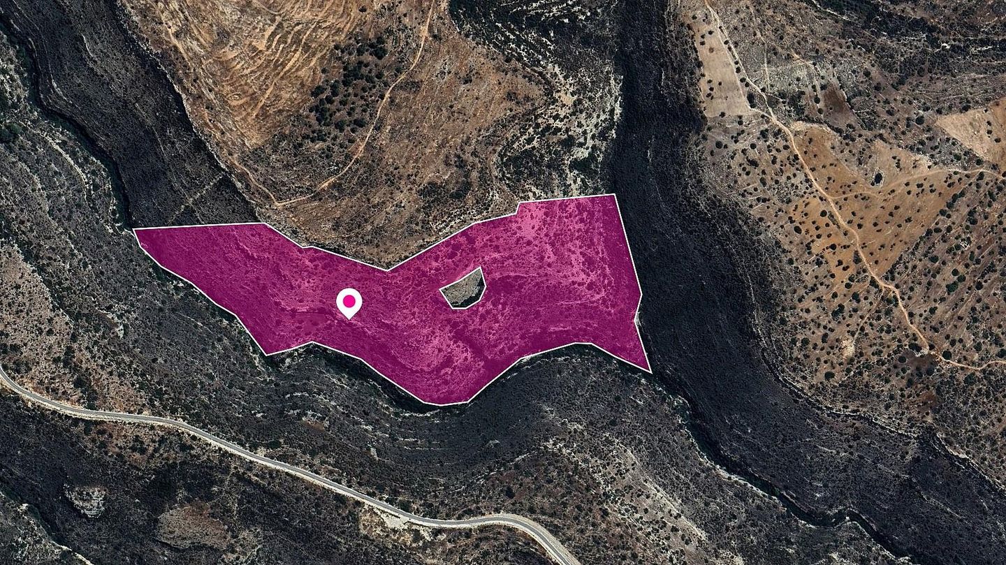 Field in Sotira Community, Limassol – id S43475