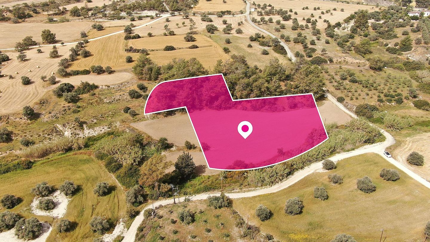 Field in Anglisides, Larnaca – id S20093