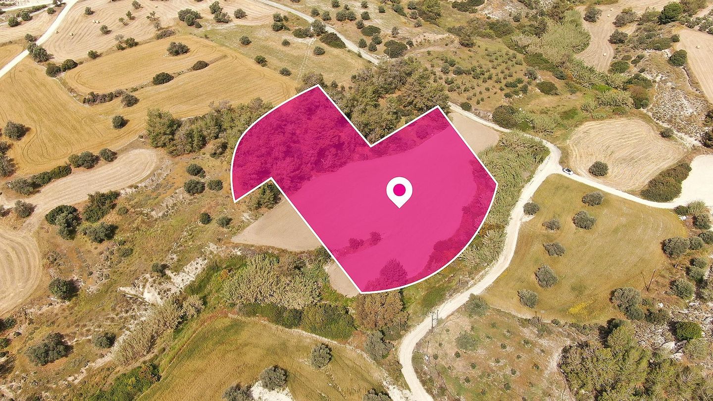 Field in Anglisides, Larnaca – id S20093