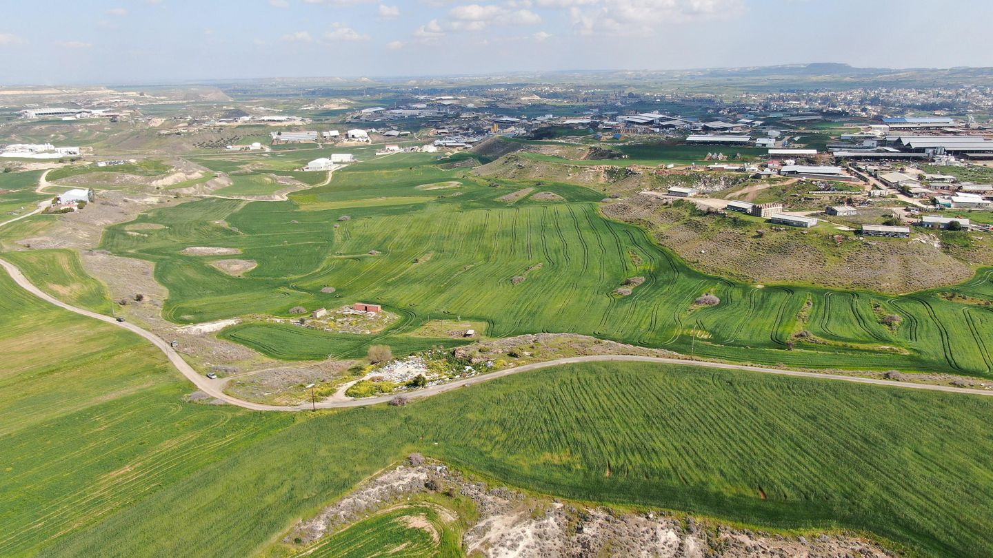 Agricultural field, Nisou – id S4917