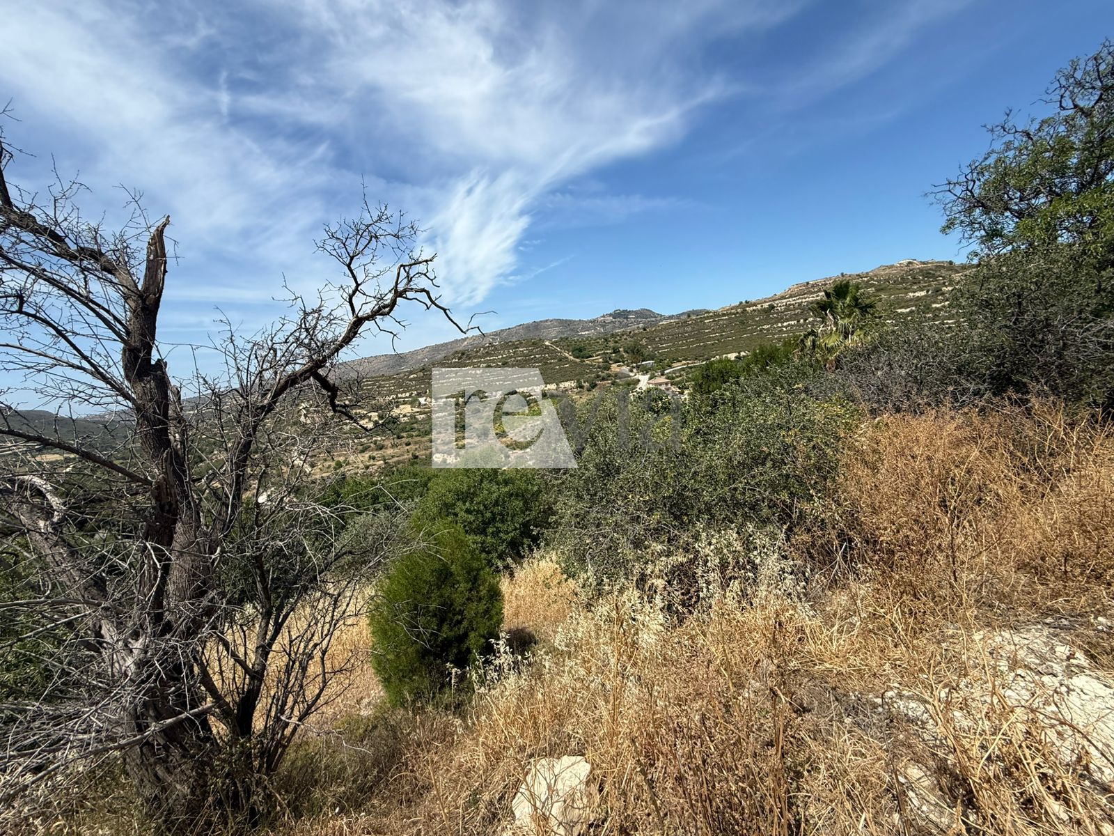 1586876 – Land Field For sale, Agios Amvrosios, 976 sq.m., €60.000