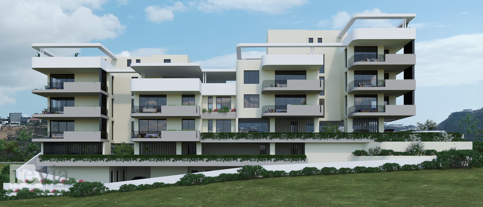 img_1e0ea695-f63c-4900-a17f-c30b4e8d9e1f