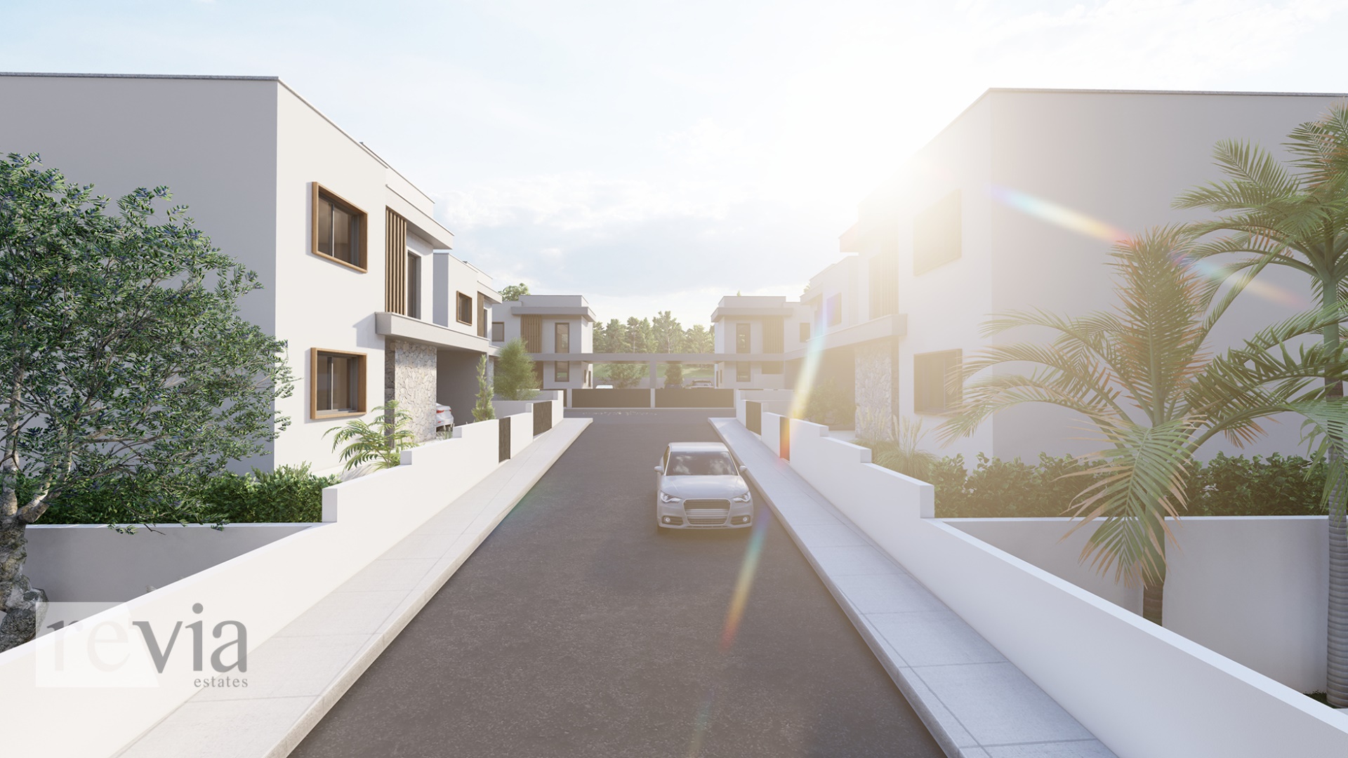 img_231520c2-1115-4f50-8e51-b733958c764f