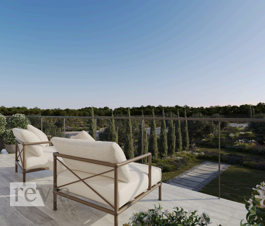 img_2de2186d-173b-49fb-bf8b-6b7be507cdb2