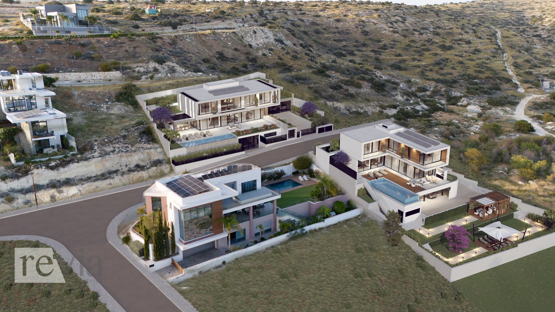 img_85ee6ea3-a5ab-40b4-91f0-f7a4710ddde1