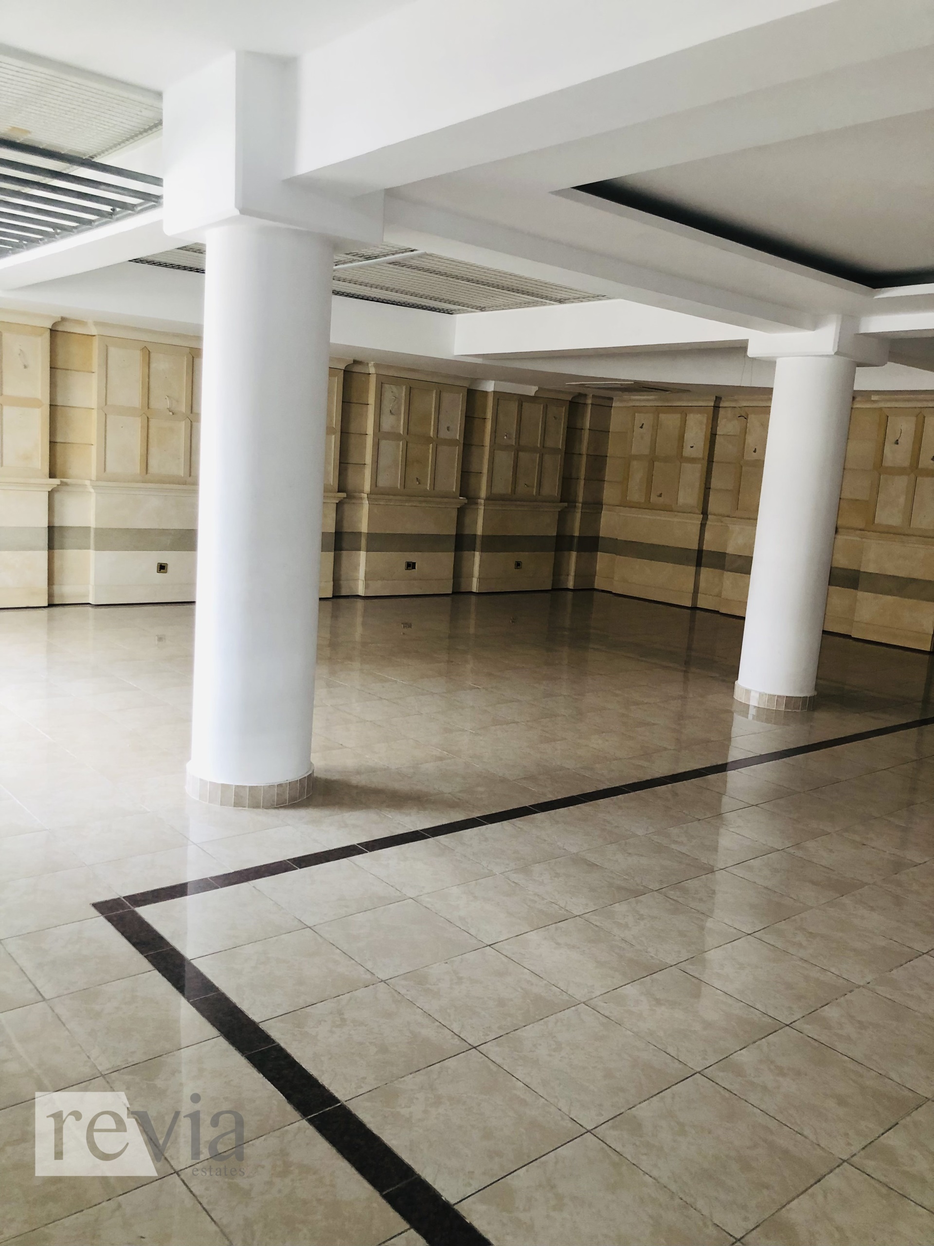 img_8b8dc3d4-9c51-4791-8ab6-66932852c2a4