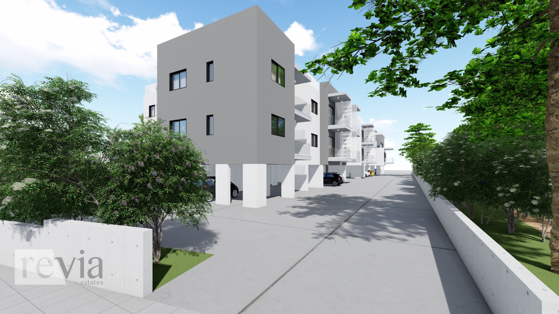 img_8cc98411-70fb-496f-95a1-dfc6ca1a4828