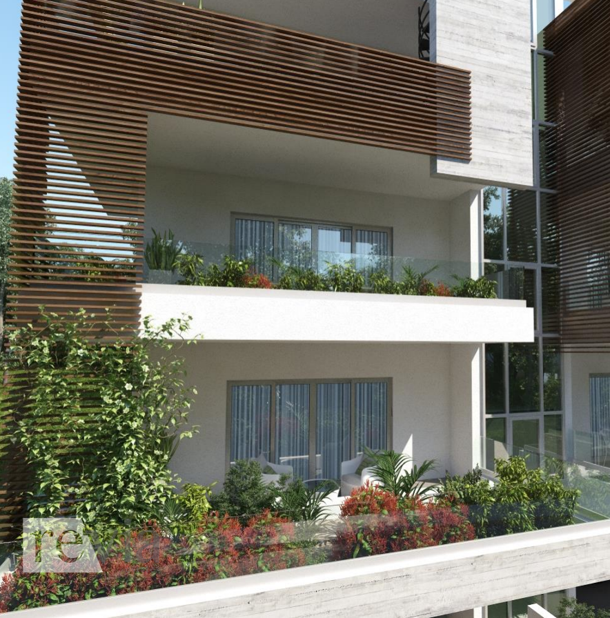 img_8ddd8aaf-a289-4abe-9028-059eaf4dbf77