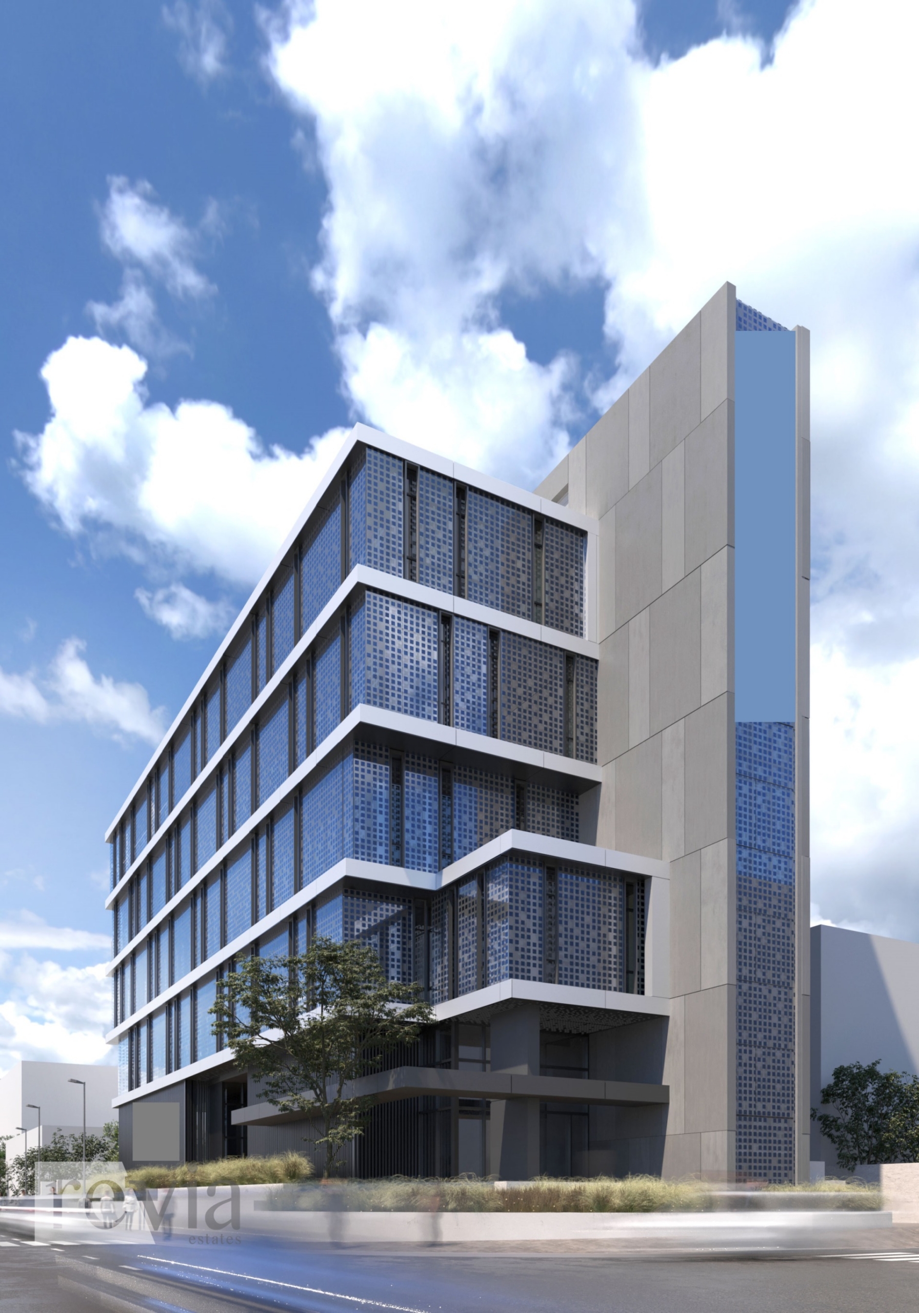 img_a945402a-b38f-4b25-b0ee-b571cd67d469