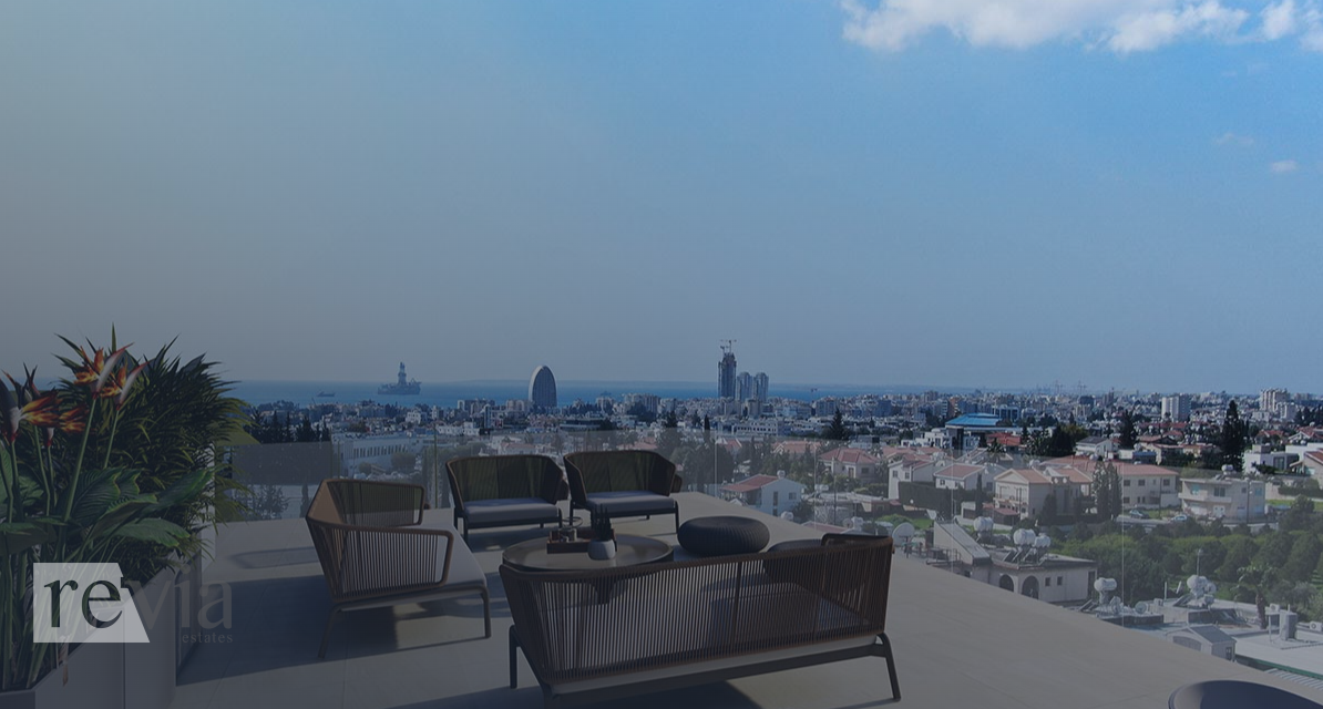 img_cf155003-7c10-4c7e-ba5d-cde7b4b458cd