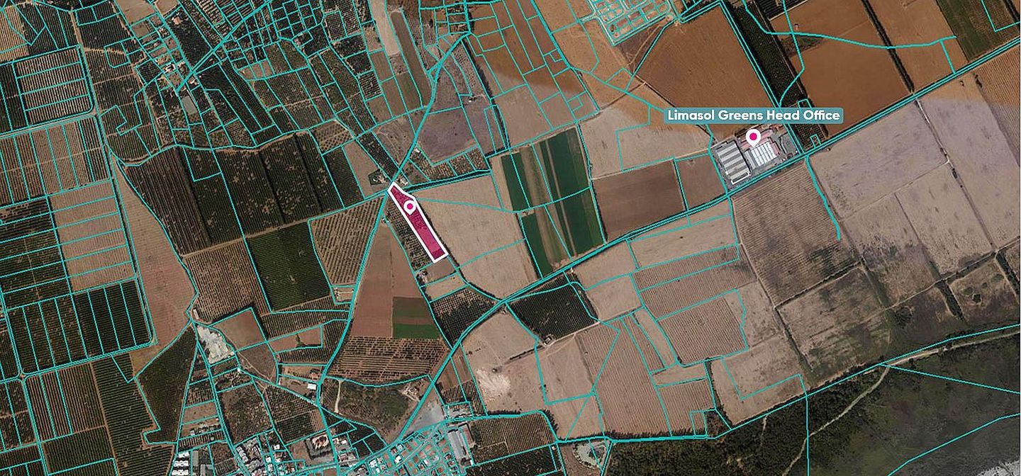 (Share) Field in Asomatos, Limassol – id S8967