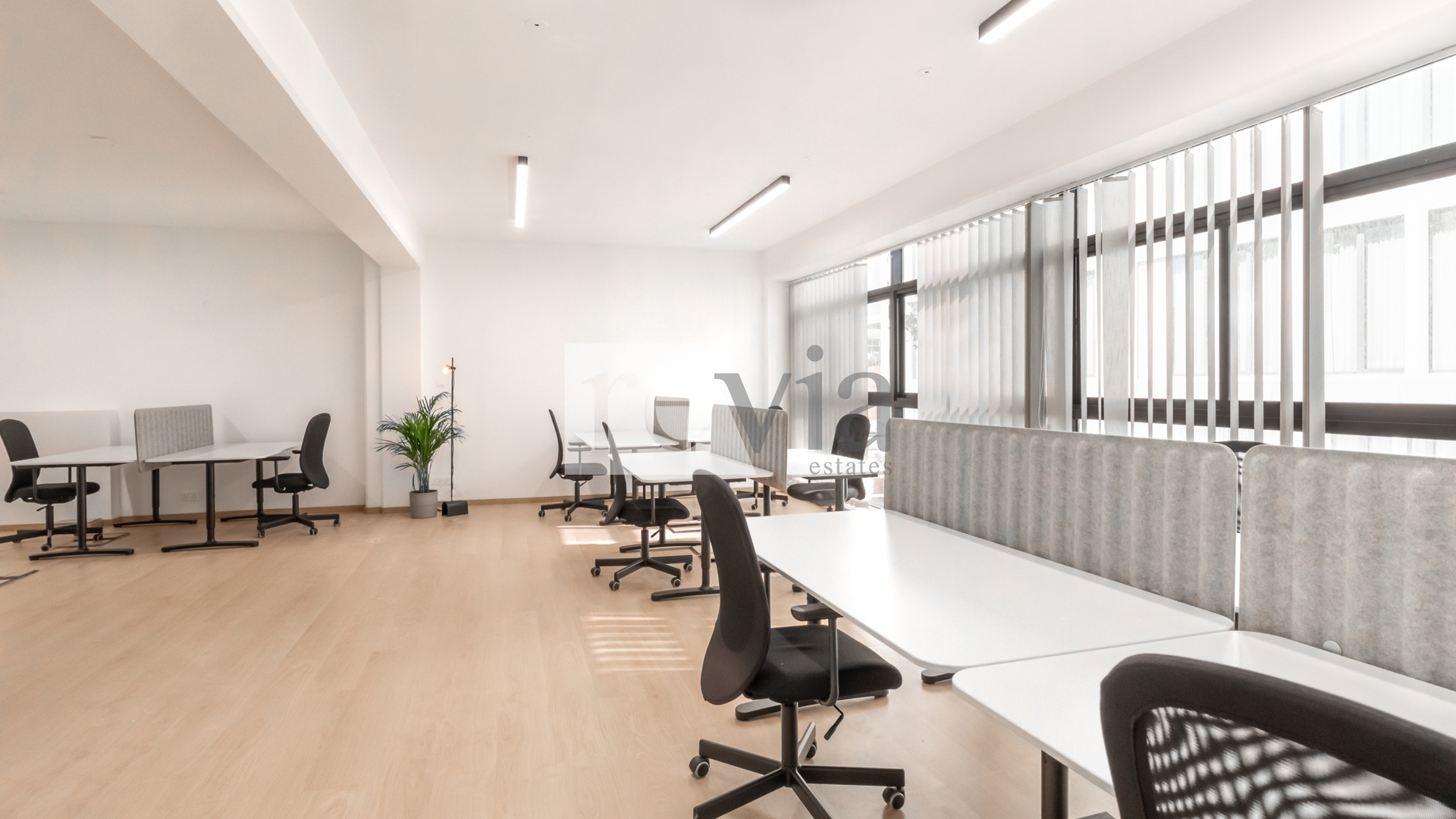 d484eb7ddc734c33ad859ec784faa1e2