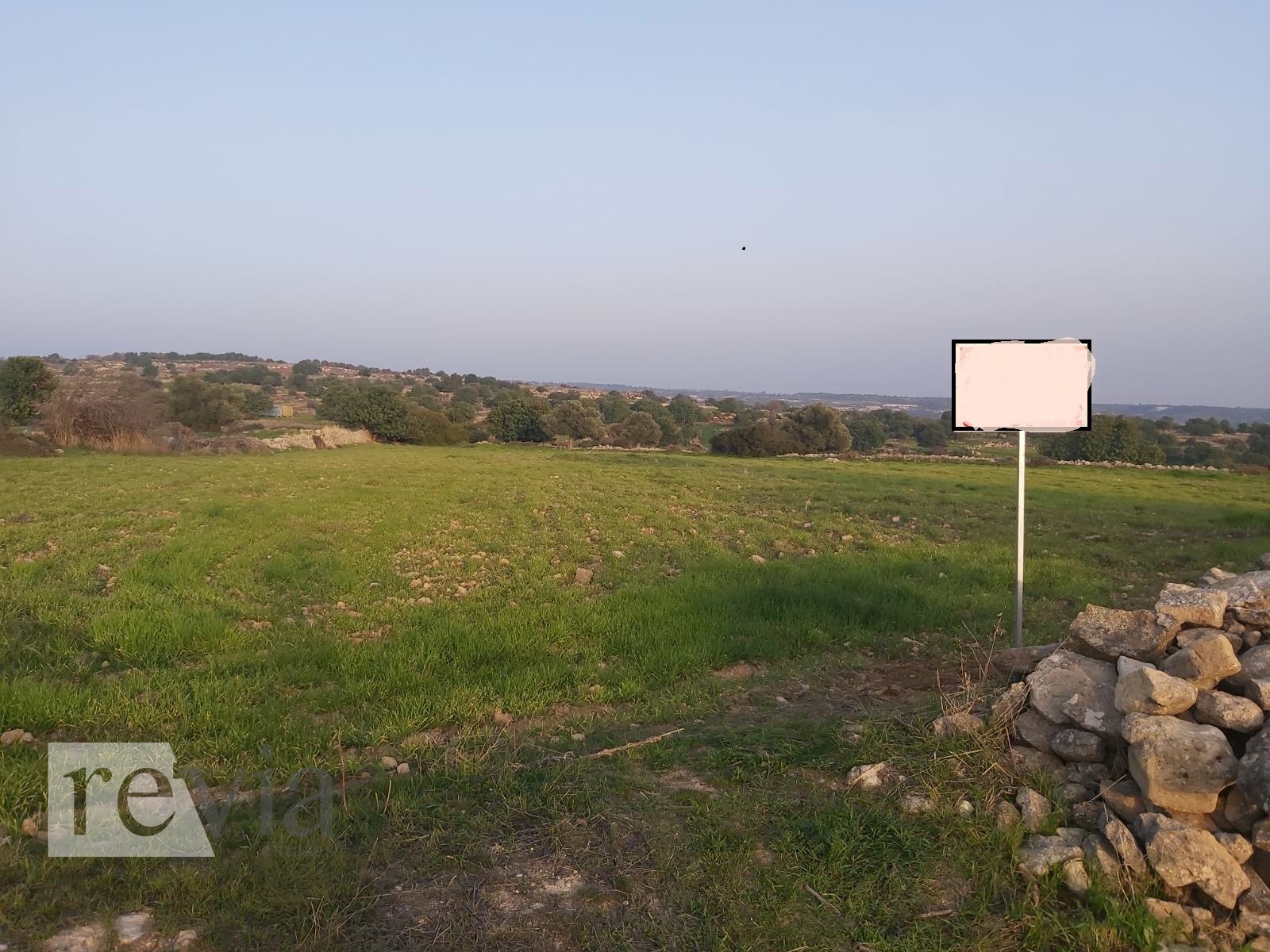 1112132 – Land Field For sale, Pachna, 6.355 sq.m., €75.000