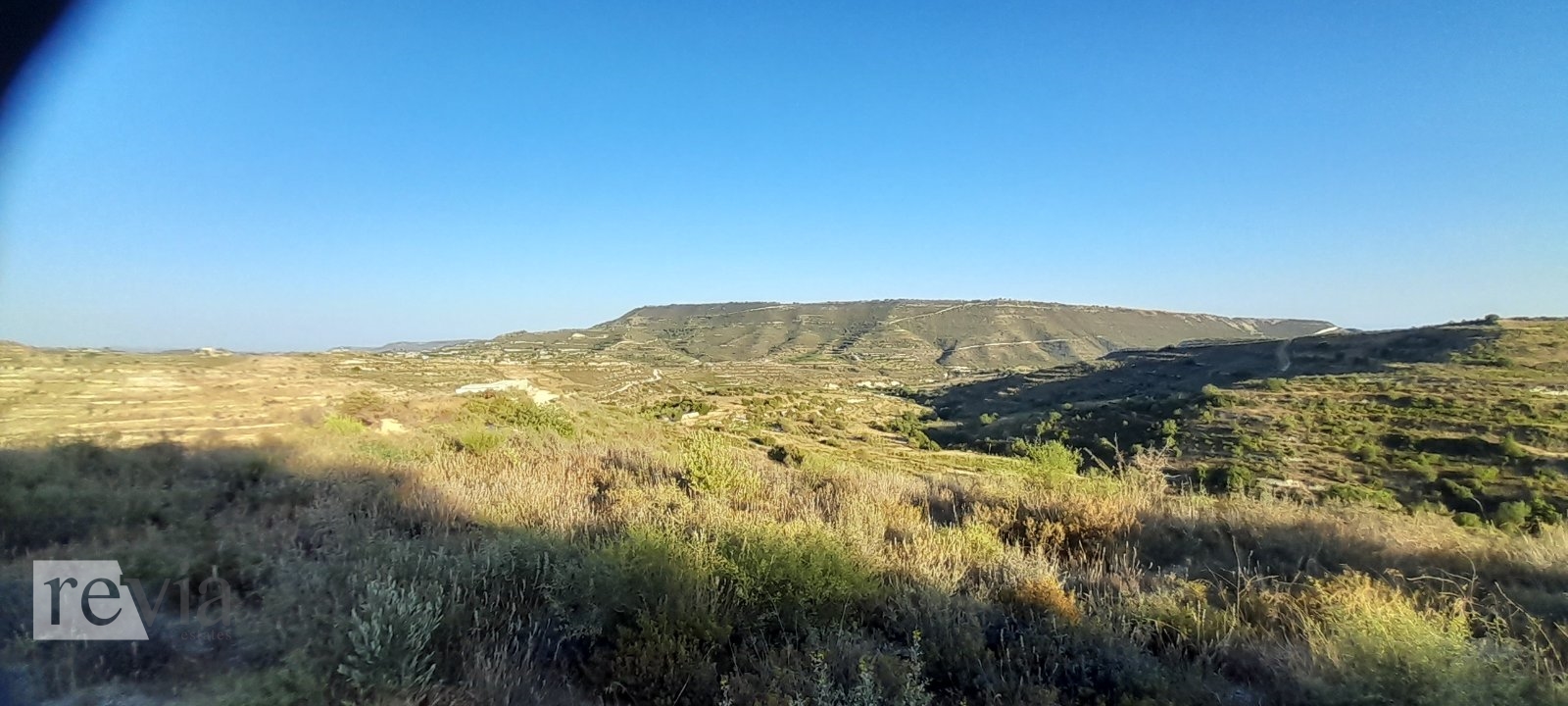 335315 – Land Field For sale, Pachna, 8.027 sq.m., €49.000
