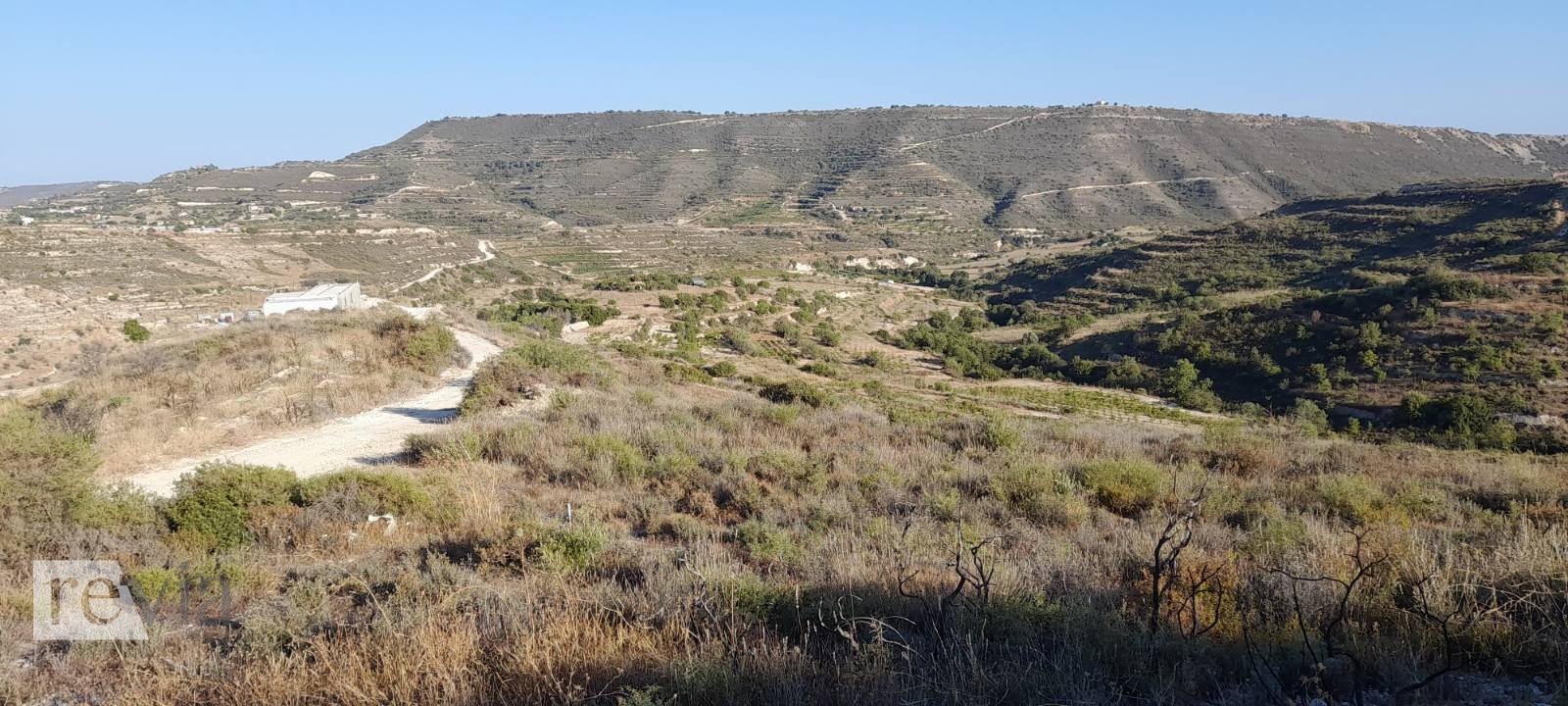 335315 – Land Field For sale, Pachna, 8.027 sq.m., €49.000