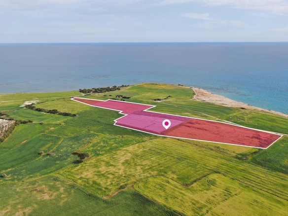 Seaview Field in Mazotos, Larnaca – id S3139