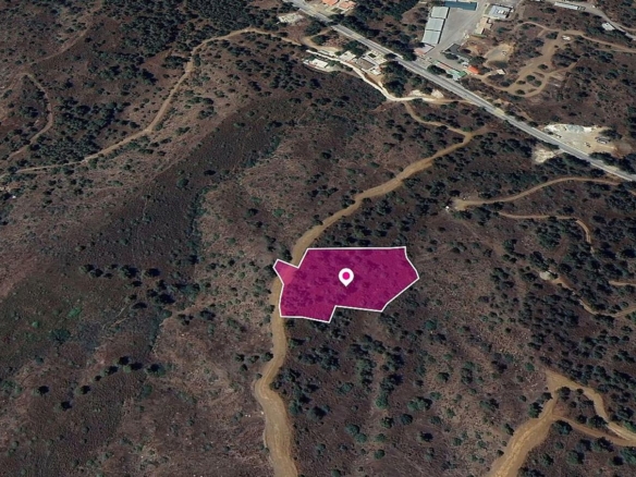 (Share) Agricultural Field in Evrychou, Nicosia – id S44467