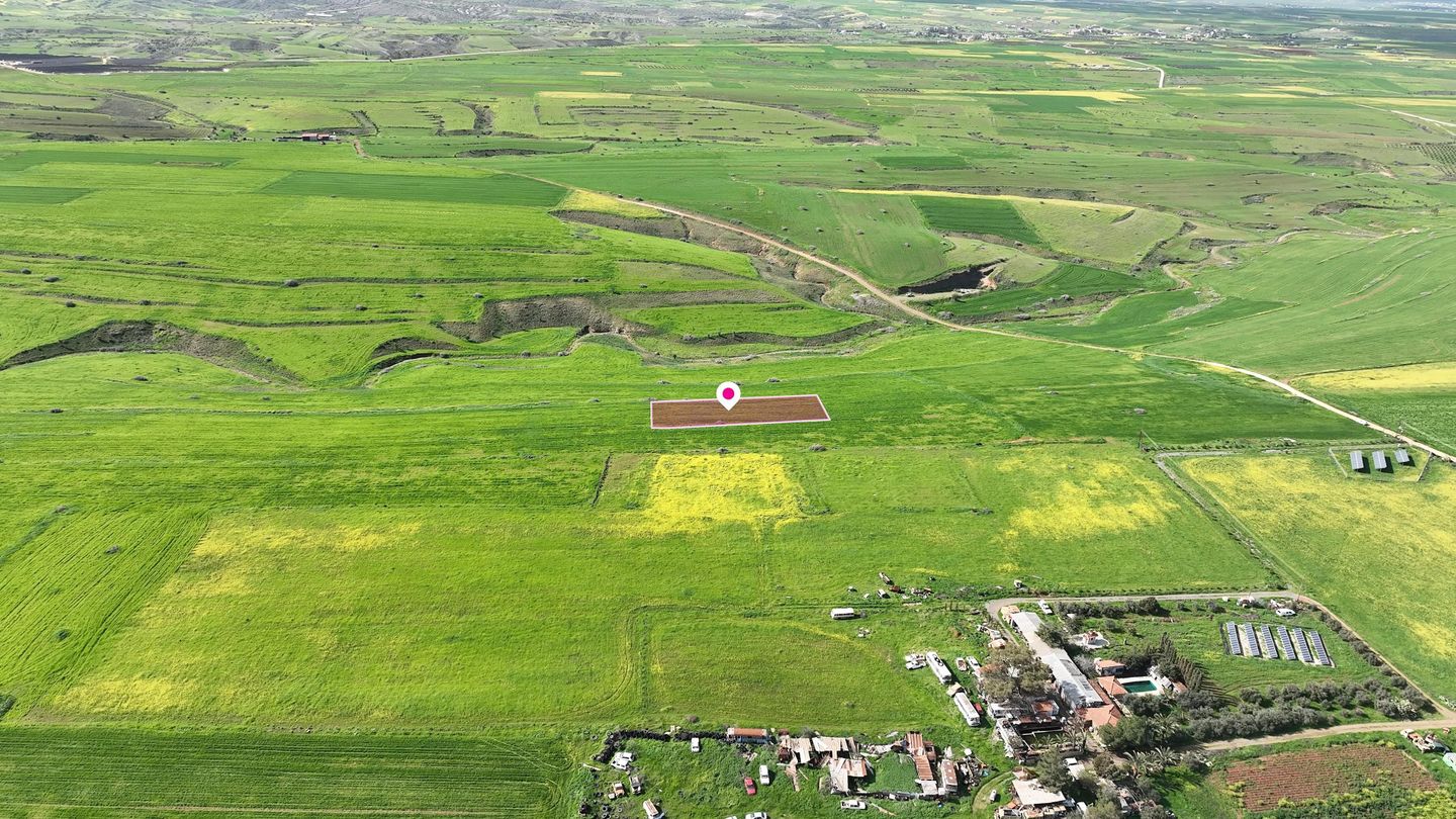 Livestock field in Peristerona, Nicosia – id S46012
