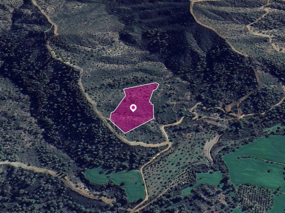 (Share) Special Protection Zoned Field in Lythrodontas, Nicosia. – id S43896