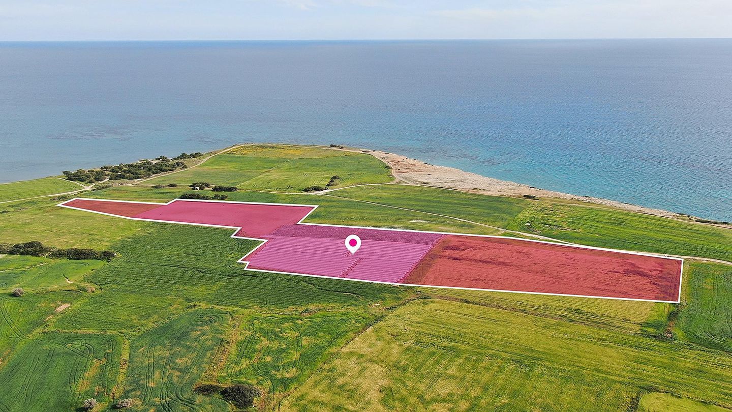 Seaview Field in Mazotos, Larnaca – id S3139