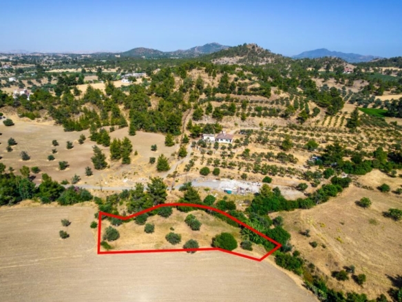 Residential field in Lythrodontas, Nicosia – id R7155