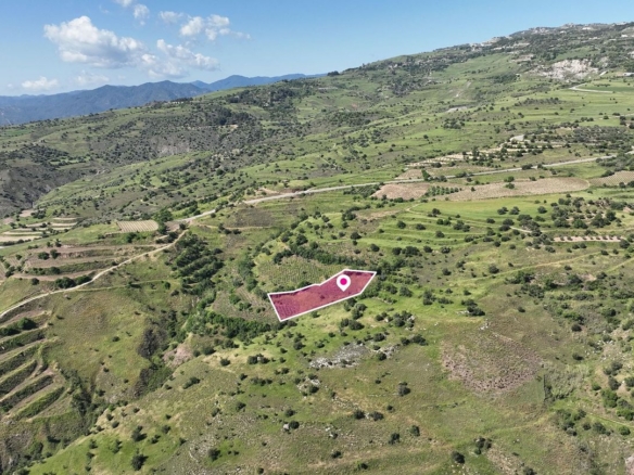 Agricultural Field in Statos – Agios Fotios, Paphos – id S31981