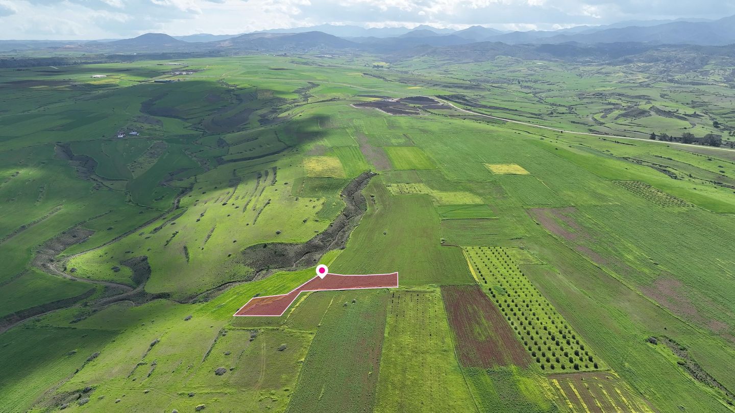 Livestock field in Peristerona, Nicosia – id S46011