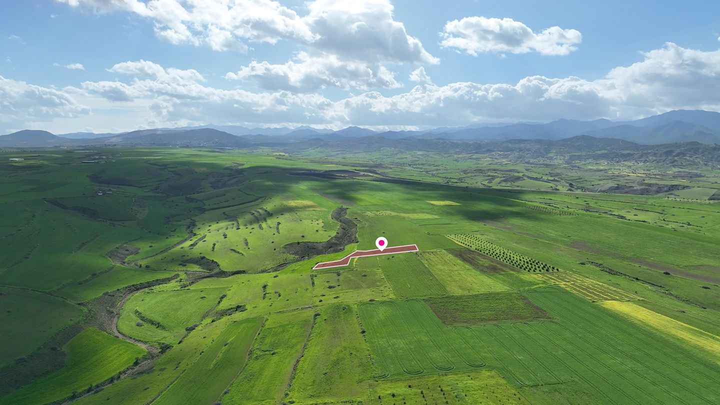Livestock field in Peristerona, Nicosia – id S46011