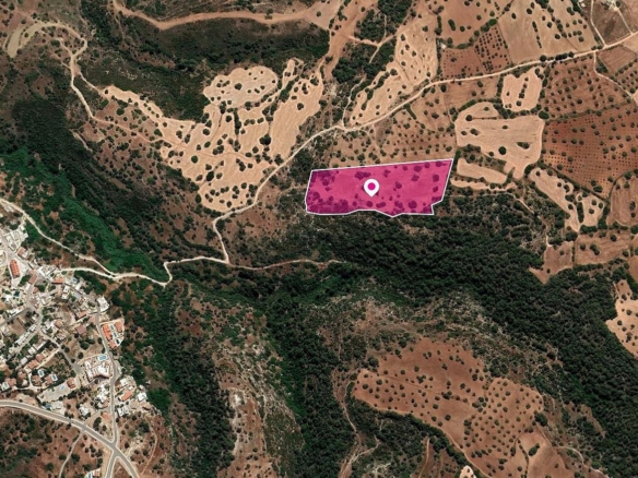 (Share) Field, Neo Chorio, Paphos – id S20091