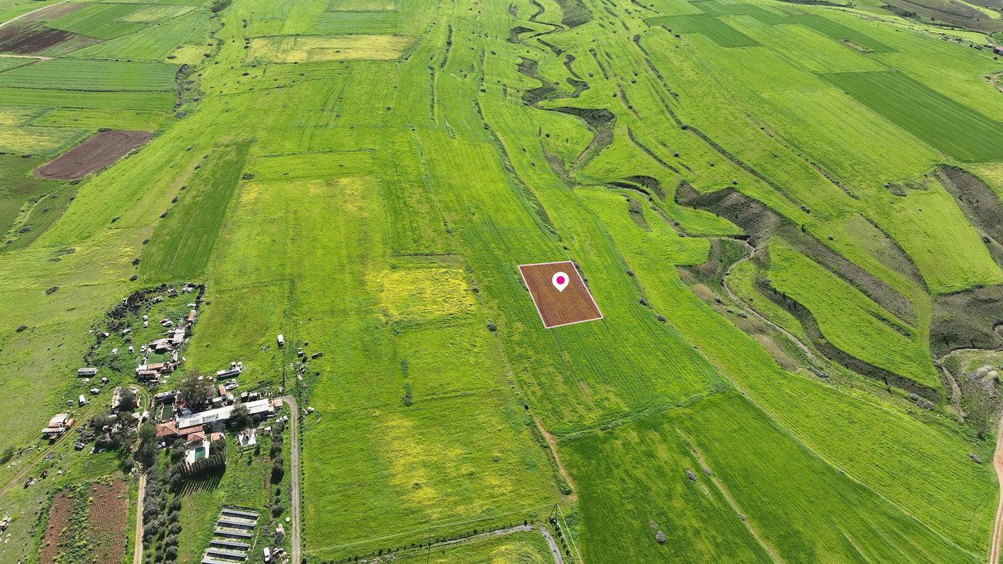 Livestock field in Peristerona, Nicosia – id S46012