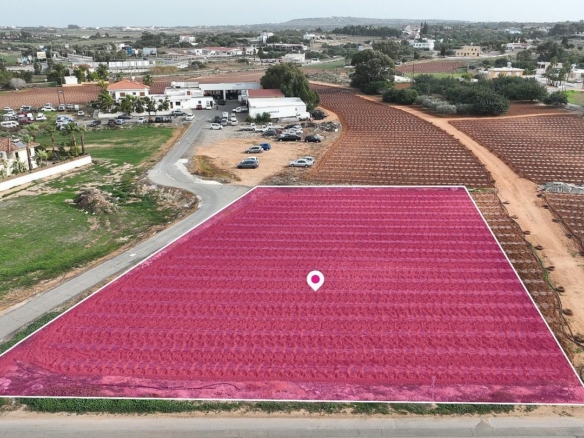 17% Share of a Residential field in Paralimni, Famagusta – id S42381