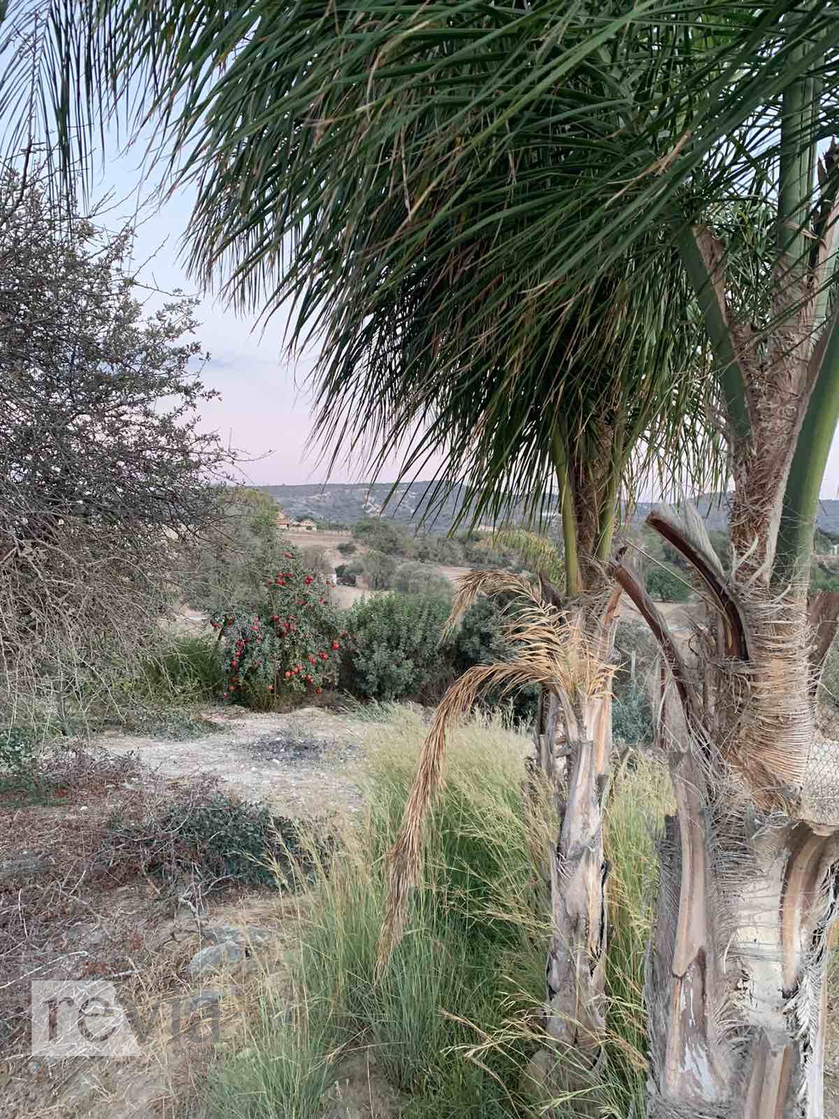 657f0bb0299a4f638b9e00c7bd19a319 1226911 – Villa For sale, Moni, 160 sq.m., €750.000