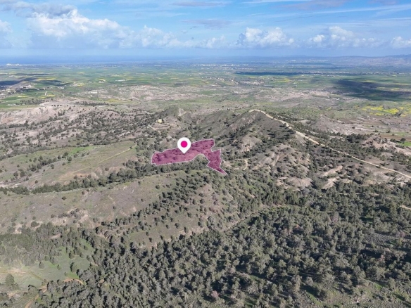 Livestock field located in Agia Marina Xyliatou, Nicosia. – id S46004