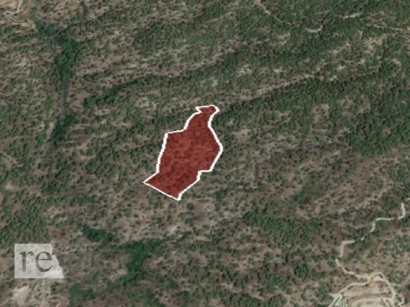 336059 – Land Field For sale, Agios Mamas, 4.125 sq.m., €2.000