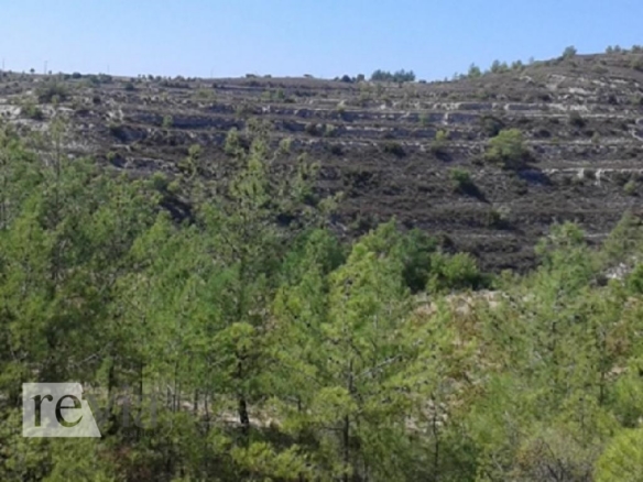 336054 – Land Field For sale, Lofou, 15.218 sq.m., €19.000