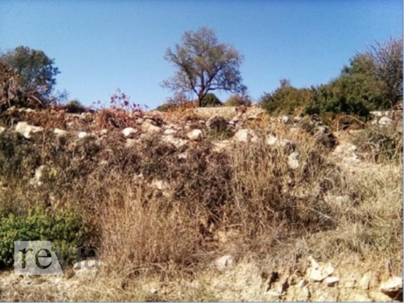 336200 – Land Field For sale, Pachna, 2.676 sq.m., €54.000